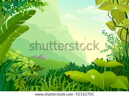AMAZON JUNGLE TREES AND WILDERNESS
