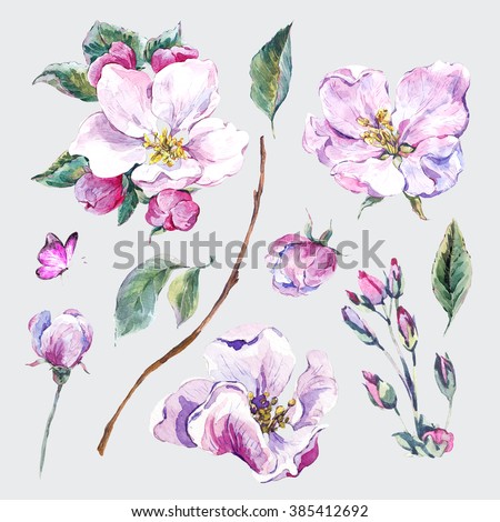 Set of watercolor Spring Nature elements, sprigs separately leaves flower, pink blooming branches cherry, peach, pear, sakura, apple trees and butterflies, isolated botanical watercolor illustration