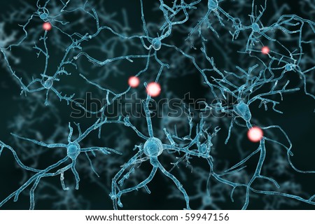 Central Nervous System Stock Images, Royalty-Free Images & Vectors