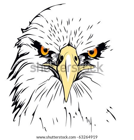 Black Eagle Stock Images, Royalty-Free Images & Vectors | Shutterstock