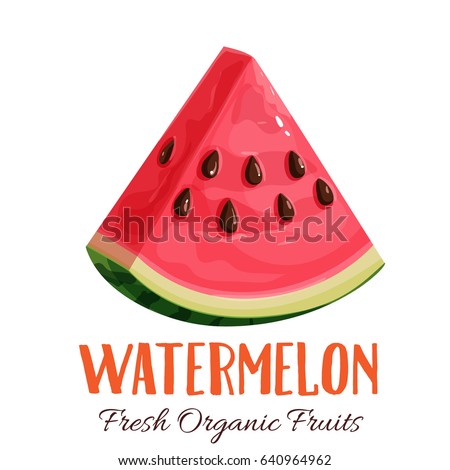 Vector slice watermelon. Fruit illustration for farm market menu. Healthy food design