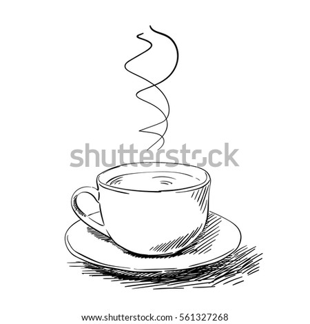 Sketch Tea Cup Isolated On White Stock Vector 561327268 - Shutterstock