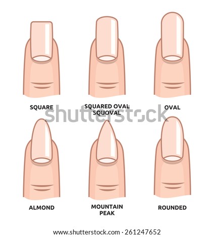 Different Fashion Nail Shapes Set Kinds Stock Vector 562080952 ...