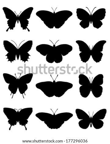 Butterfly silhouette Stock Photos, Images, & Pictures | Shutterstock