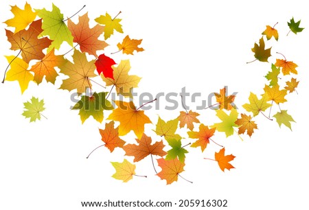 Falling Leaves Stock Images, Royalty-Free Images & Vectors | Shutterstock