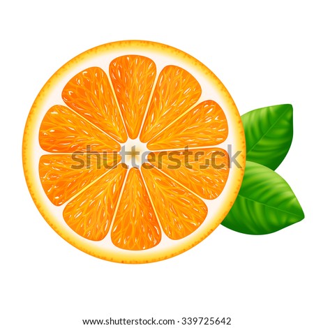 Orange slice with leaves isolated on white background. Vector illustration for decorative poster, emblem natural product, farmers market. Perfect for packaging design of cosmetics and food.