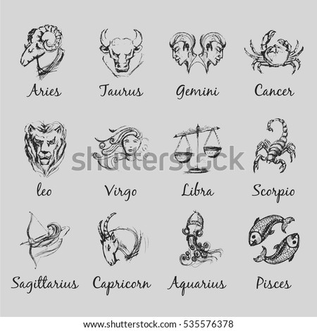 Set Astrological Zodiac Symbols Horoscope Signs Stock Vector 535576378 ...