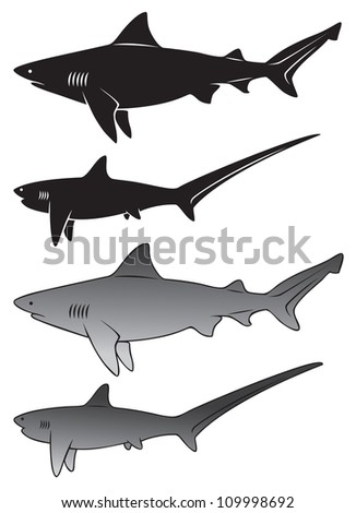 Download Shark Tail Stock Images, Royalty-Free Images & Vectors ...