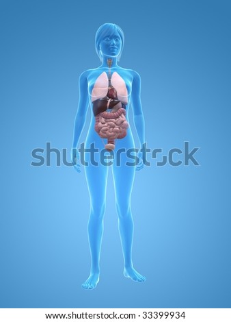 Woman Body 3d Stock Images, Royalty-Free Images & Vectors | Shutterstock