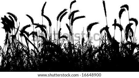 Wheat Silhouette Stock Images, Royalty-Free Images & Vectors | Shutterstock