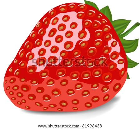 ripe red strawberry vector illustration