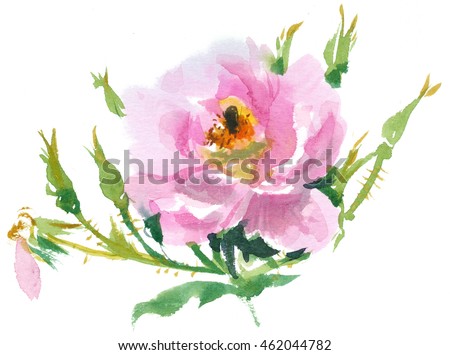 Roses Sketch Stock Vector 71973115 - Shutterstock