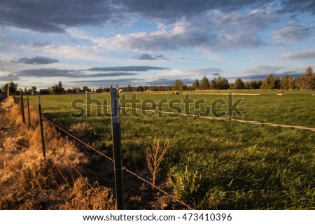 Barbed Wire Fence On Farm Barbed Wire Fence On Farm