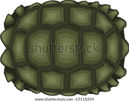 Tortoise-shell Stock Images, Royalty-Free Images & Vectors | Shutterstock