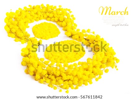 Greeting Card International Women's Day on March 8th. Branches of mimosa in the form of number eight