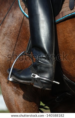 Horse Tack Stock Photos, Images, & Pictures | Shutterstock
