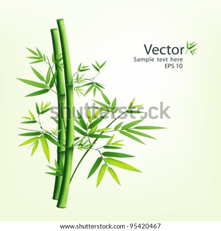 Bamboo green vector illustration