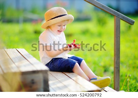 Stylish toddler boy sitting on wooden stairs and looking on his harvest on raspberry farm