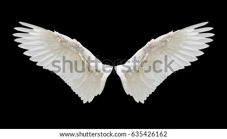 Wings Stock Images, Royalty-Free Images & Vectors | Shutterstock