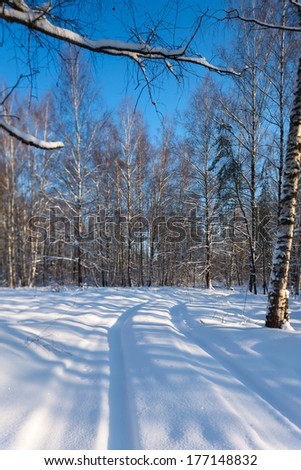 Snowy Landscape Wood Under Snow Russia Stock Photo 45254353 - Shutterstock