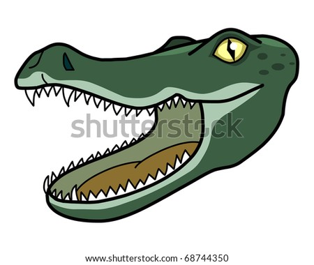 Crocodile Head Stock Images, Royalty-Free Images & Vectors | Shutterstock
