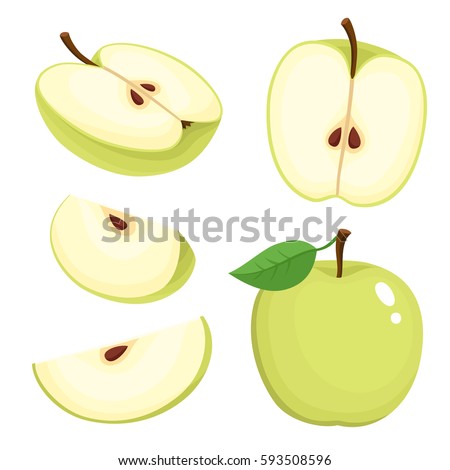 Bright vector set of colorful half, slice and segment of juicy green apple. Fresh cartoon apples on white background.
