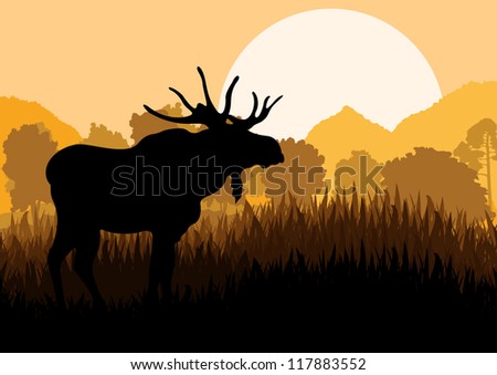 Elk In The Mist Stock Photos, Images, & Pictures | Shutterstock