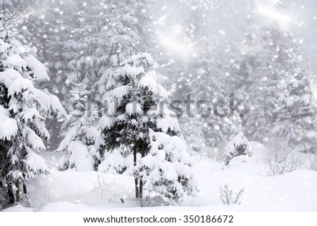 Trees covered with hoarfrost and snow and blue sky in mountains - Christmas background