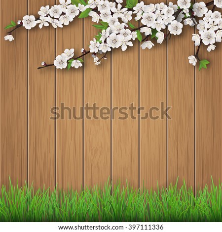 Grass and spring cherry branch on brown old wooden planks background. Vector garden background.