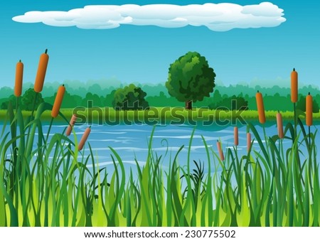 River Reeds Stock Images, Royalty-Free Images & Vectors | Shutterstock