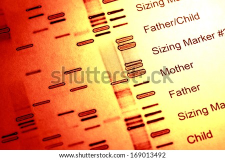essay on dna profiling essay on dna profiling