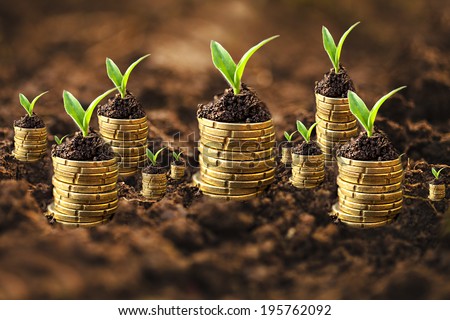 Golden coins in soil with young plant. Money growth concept.
