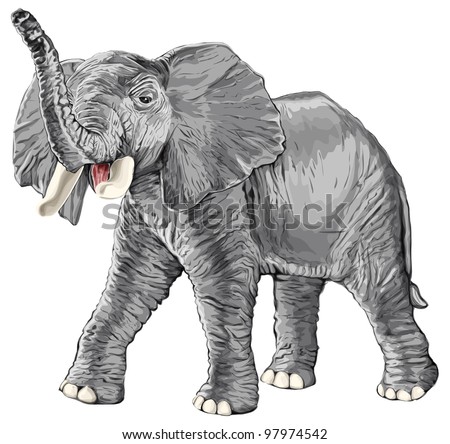 elephant with raised trunk isolated on white background / eps10 - stock ...