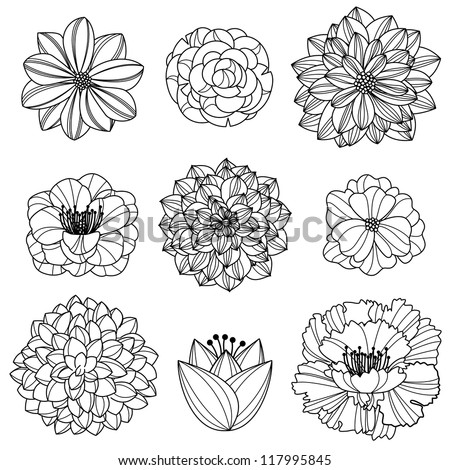 Vector Collection Hand Drawn Flowers Stock Vector (Royalty Free