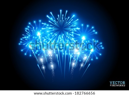 Large Fireworks Display - vector illustration.