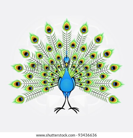 Peacock Cartoon Stock Images, Royalty-Free Images & Vectors | Shutterstock