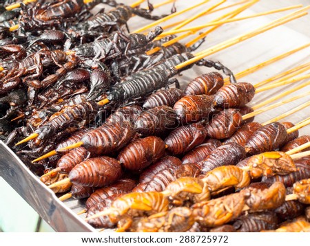 stock-photo-roasted-fried-insects-and-sc