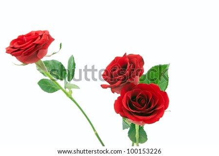 Red Roses Bouquet Isolated On White Stock Vector 358872074 - Shutterstock
