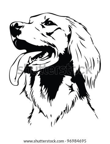 Irish Setter Stock Illustrations, Images & Vectors | Shutterstock