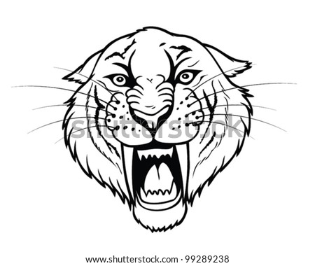 isolated head saber tooth tiger vector stock vector