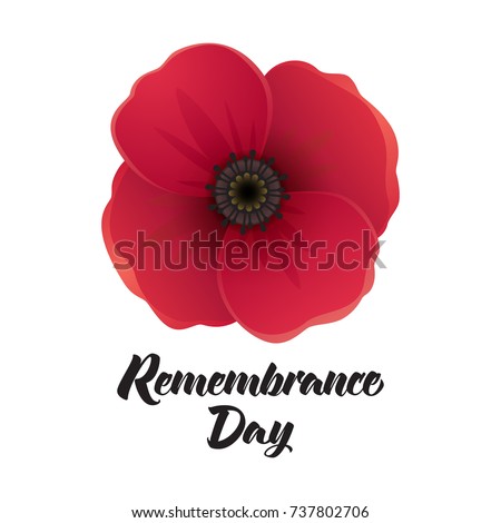 remembrance stock images royalty free images vectors shutterstock remembrance stock images royalty free images vectors shutterstock