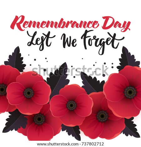 poppy stock images royalty free images vectors shutterstock poppy stock images royalty free images vectors shutterstock