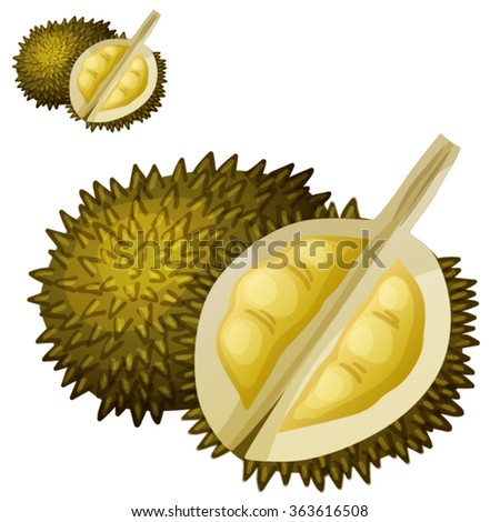 Durian Fruit Cartoon Vector Icon Isolated Stock Vector 363616508