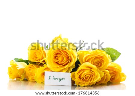bouquet of yellow roses with a declaration of love on a white background - stock photo