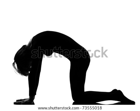 stock-photo-bidalasana-cat-pose-yoga-woman-posture-position-in-silhouette-on-studio-white-background-73555018.jpg