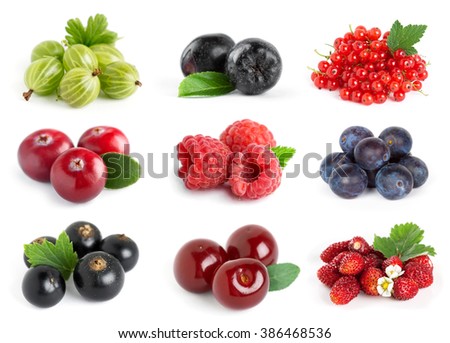 Collection of sweet berries on white background