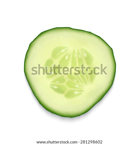 Cucumber slice isolated on white. EPS10 vector