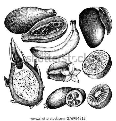 Vector collection of ink hand drawn exotic fruits sketch for kitchen and restaurant design. Vintage colorful tropical fruit illustration for vegetarian food.
