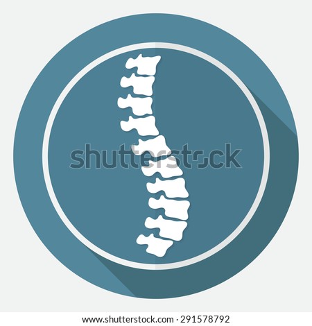 Icon Spine diagnostics on white circle with a long shadow