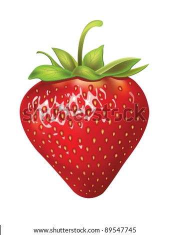 beautiful strawberries. vector illustration of a realistic